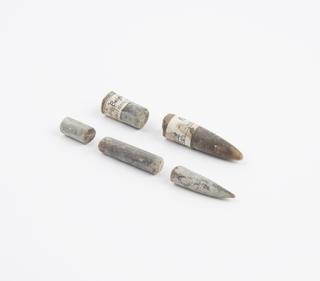 Fossils, five pieces of belemnite