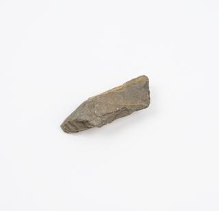 Piece of  rock containing fish-like fossil