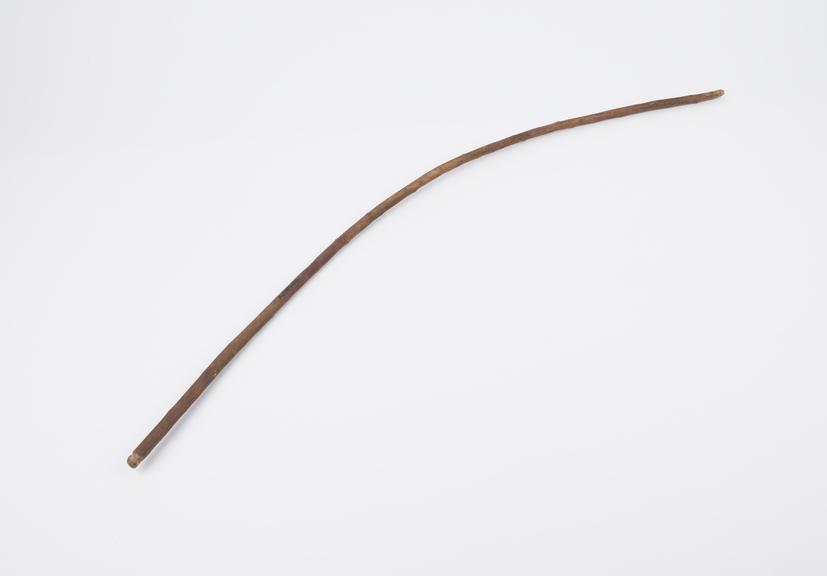 Bow (?) or spindle (?), curved thin branch