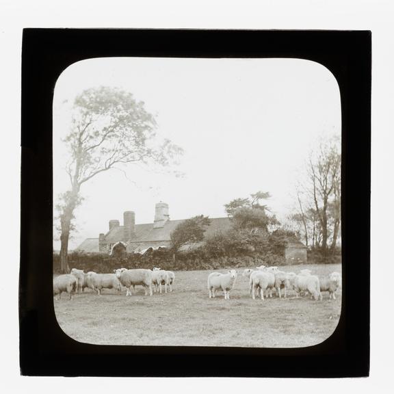 A magic lantern slide entitled 'An Old Homestead' by Birt Acres