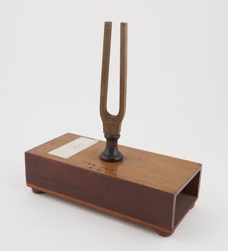 Mounted tuning fork