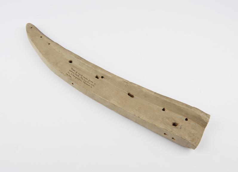 Wooden model of ice-skate made from a walrus tooth