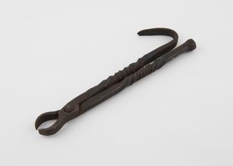 Dental forceps