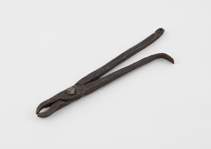 Dental forceps, steel, probably Algerian, 1801-1930