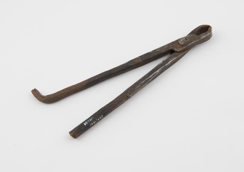 Dental forceps, steel, probably Algerian, 1801-1930