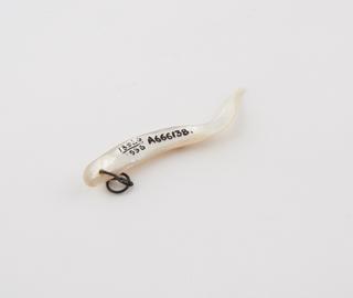 Mother of pearl amulet in the form of a twisted horn