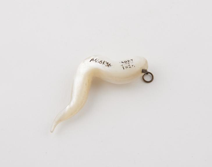 Amulet, piece of mother of pearl in form of a twisted horn (?)