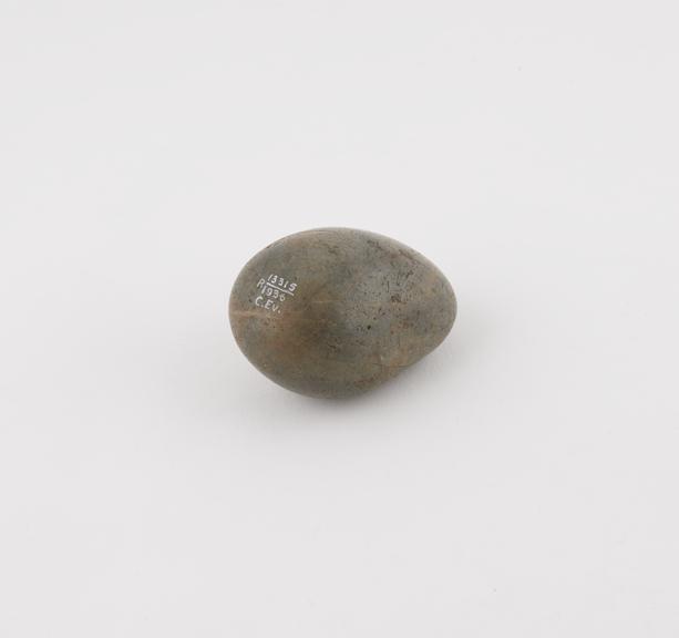 Flint kidney stone', kidney shaped