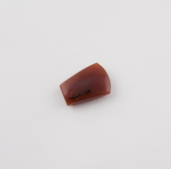 Polished, tooth-shaped cornelian pendant