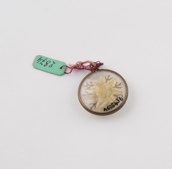 Glass sided pendant, containing edelweiss flower, circular