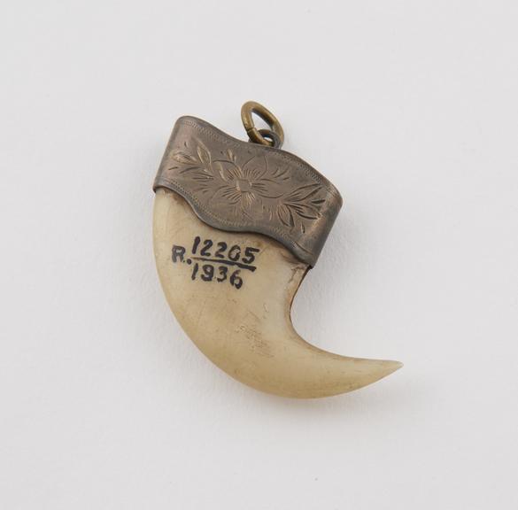 Amuletic pendant bone carved in form of curved tusk and set