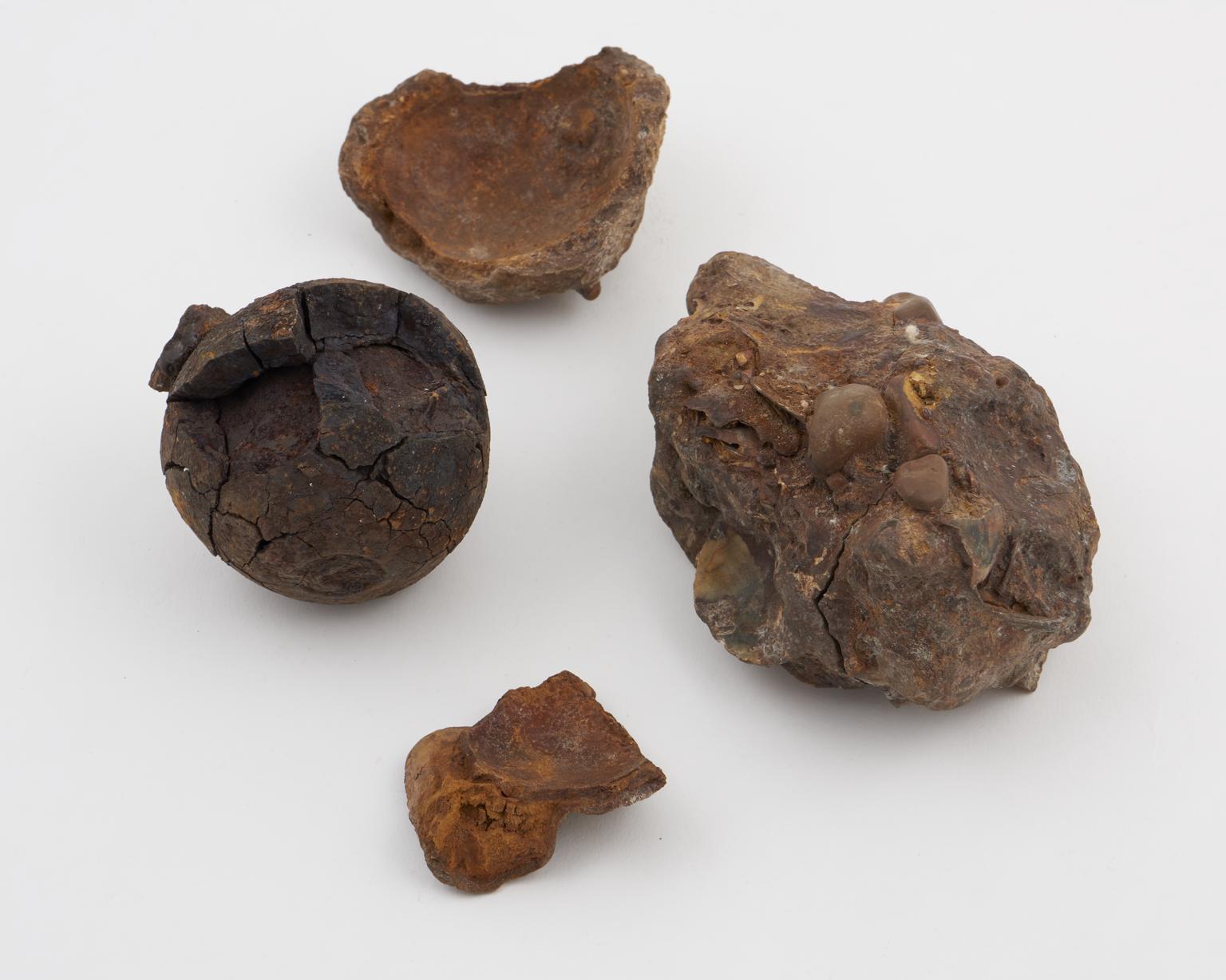 Old cannon ball which has fallen amongst shells and gravel below the ...