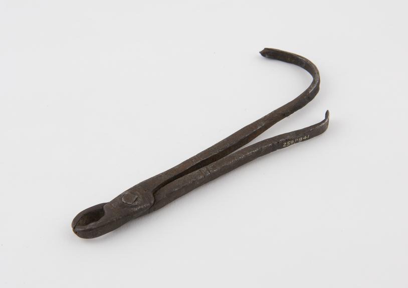 Dental forceps, steel, probably Algerian, 1801-1930