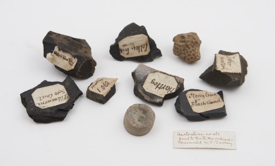 Small samples of Australian coal, originally sent over to Sir R