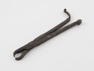 Dental forceps