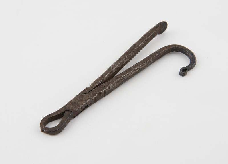 Dental forceps, steel, probably Algerian, 1801-1930