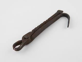 Dental forceps