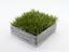 Artificial turf