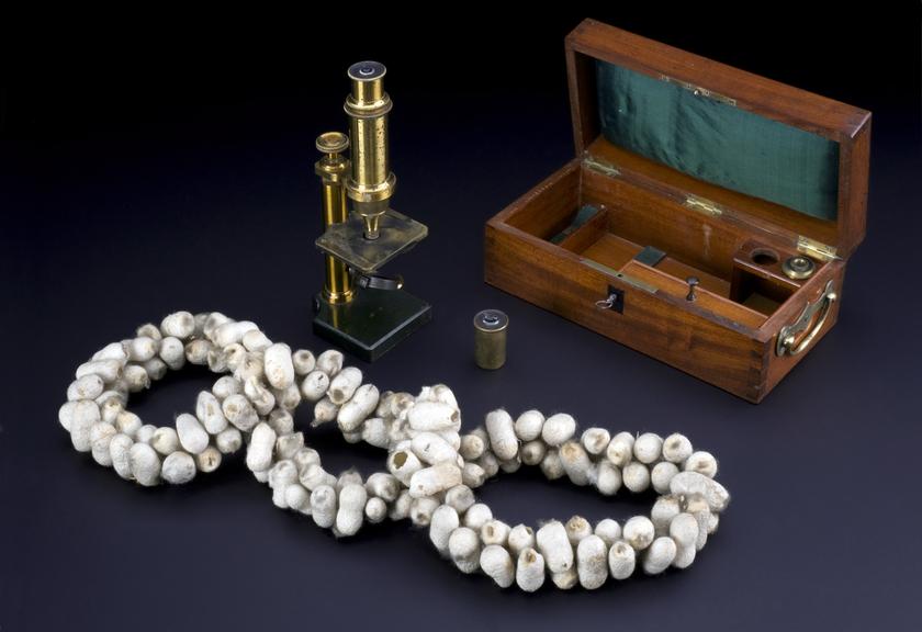 Microscope used by Louis Pasteur in his investigations on silkworm diseases, Paris, France, 1860-1870