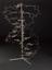 Reconstruction of the double helix model of DNA built by
