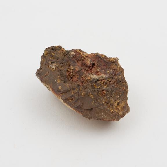 Nodule of earthy brown limonite from Singapore