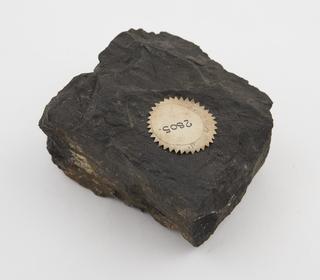 Black-band ironstone from Llynvi Coal and Iron Company