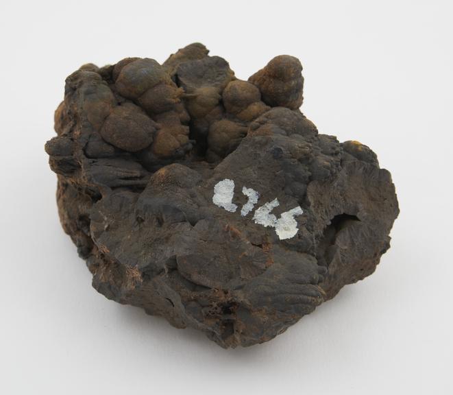 Botryoidal and stalactitic brown haematite from the Forest of