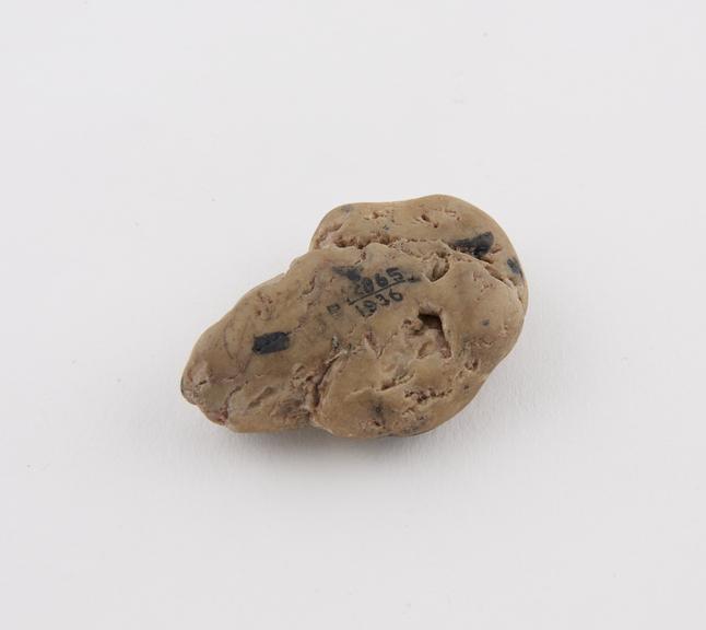 Stone with painted black spots, amuletic, used to cure warts