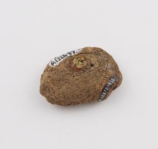 Flat dried up potato with painted yellow eye