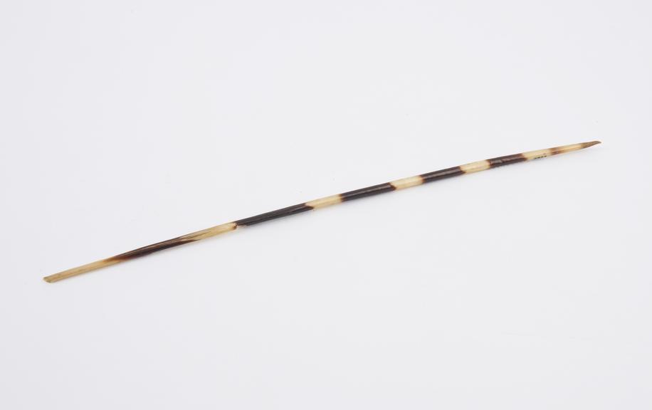 Nose pin made from porcupine quill, from Bahr el Ghazal