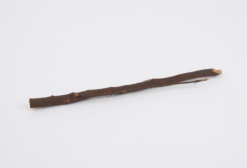 Amuletic stick with thinner twig as part of stick