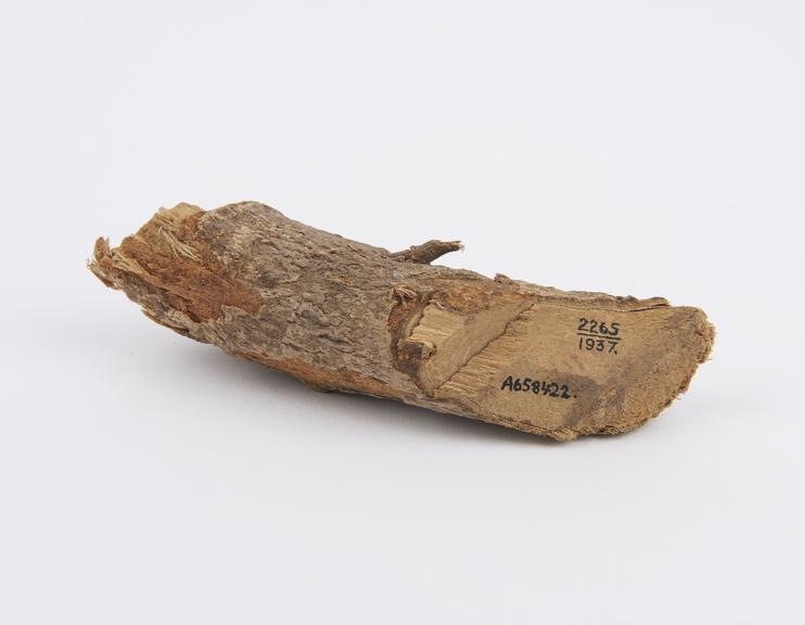 Piece of tree root, vernacular Kulun'