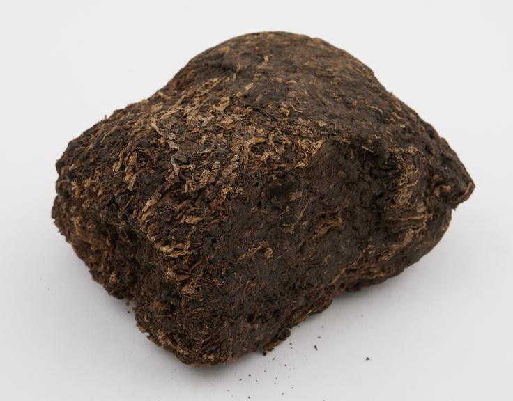 Peat cut from near the surface, Showing its uncompressed state