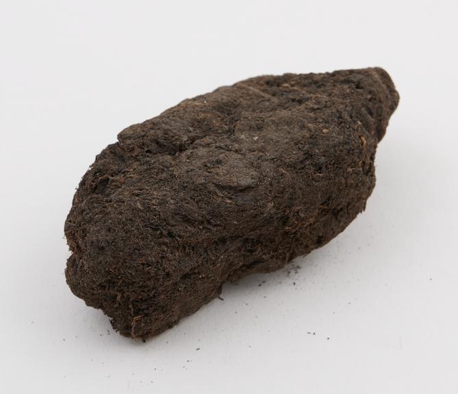 Peat from Cashmere (formed in a lake) from the aquatic plants