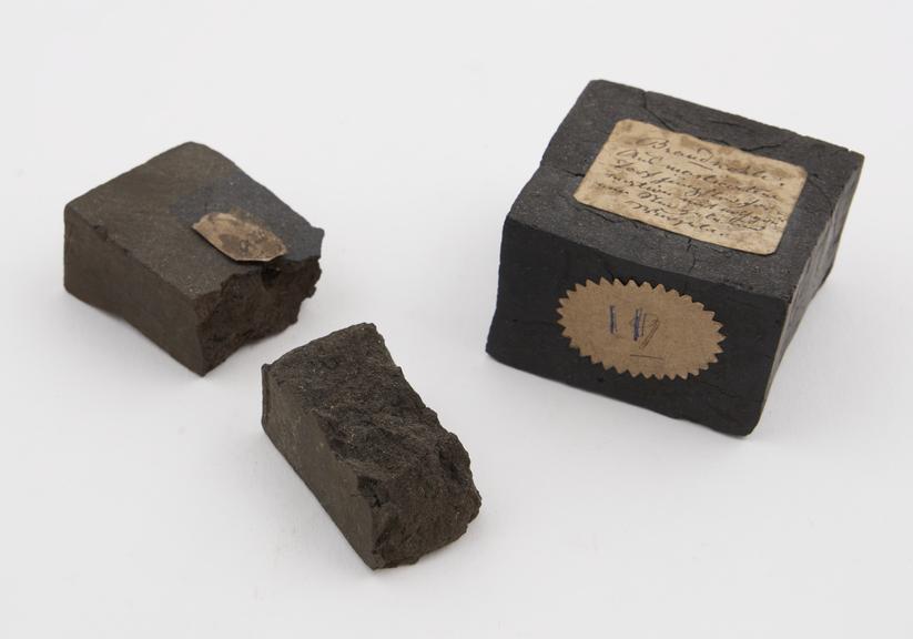 Two samples of German peat from the newest peat formation