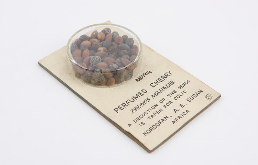 Glass display container for perfumed cherry seeds, with content