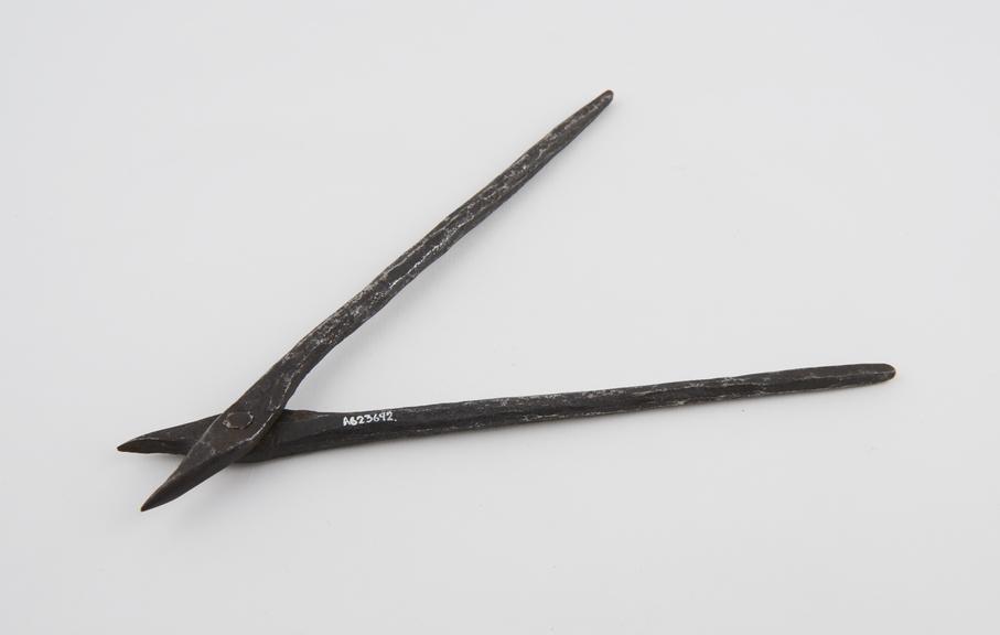 Forceps, iron, Indian