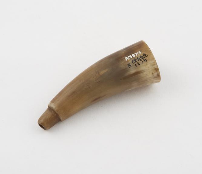 Cupping horn, tip removed, and smoothed down, Africa, 1880-1930