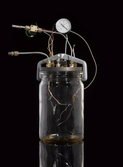 Apparatus for simulating Martian atmospheric pressure, made by James Lovelock
