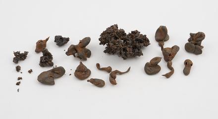 Specimens illustrative of Blair's process for refining pig-iron by aeration