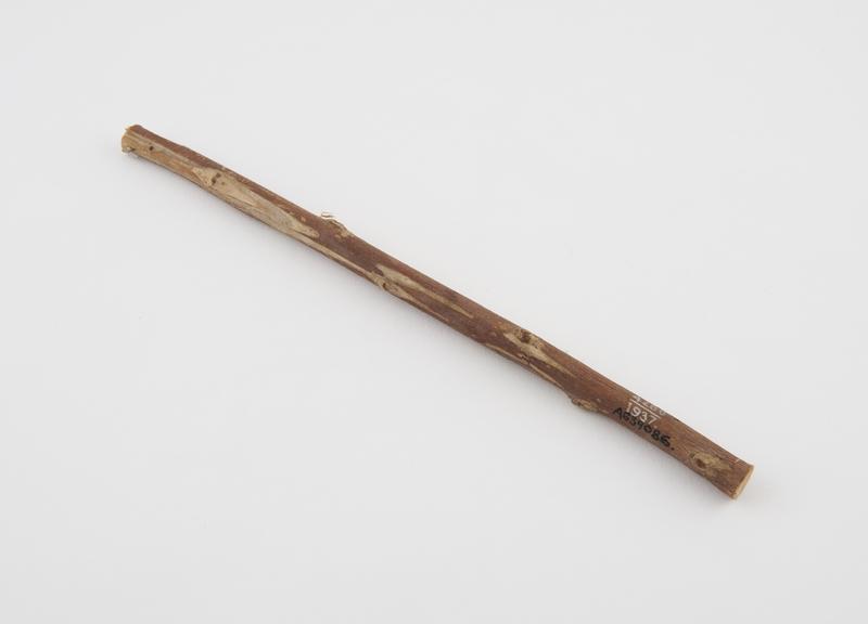 Wooden toothbrush, reputedly from the Calcutta bazaar, Calcutta