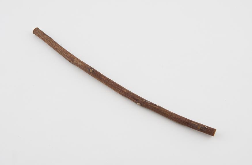 Wooden toothbrush, reputedly from the Calcutta bagaar, Calcutta