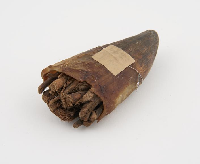 Amulet, consisting of horn, tip filled with twigs, East African