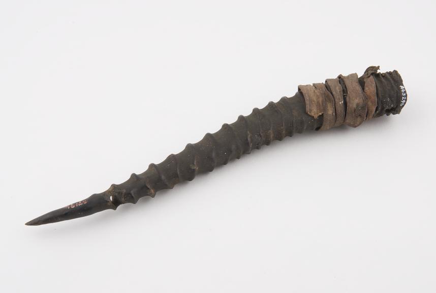 Amuletic horn, part of medicine man's outfit