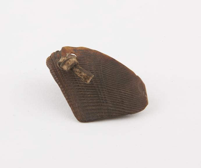 Hoof horn amulet, Kaguru tribe, Tanzania, 1900-1920