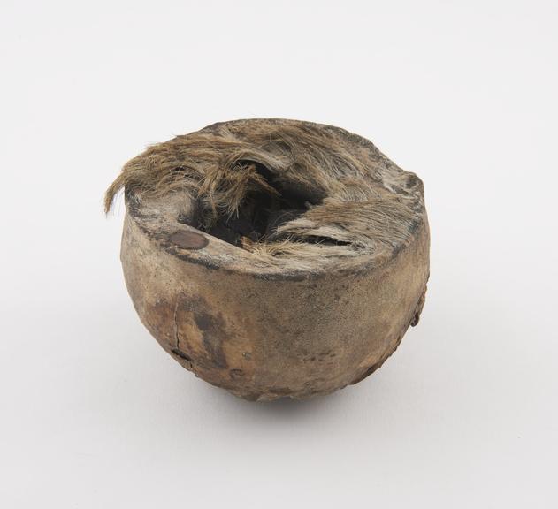 Container made from the skull of a gazelle, pot-shaped