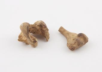 Antelope's skull pieces, protection against witchcraft
