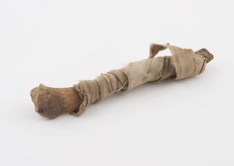 Animal's leg bone part, used as wand