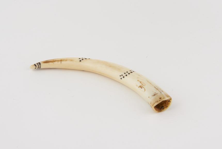 Small ivory tusk used as part of a headdress by an Acoli Chief