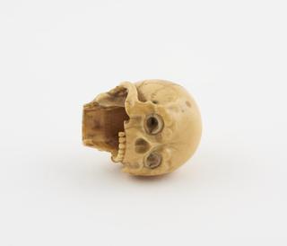 Model of human skull with revolving eye ball